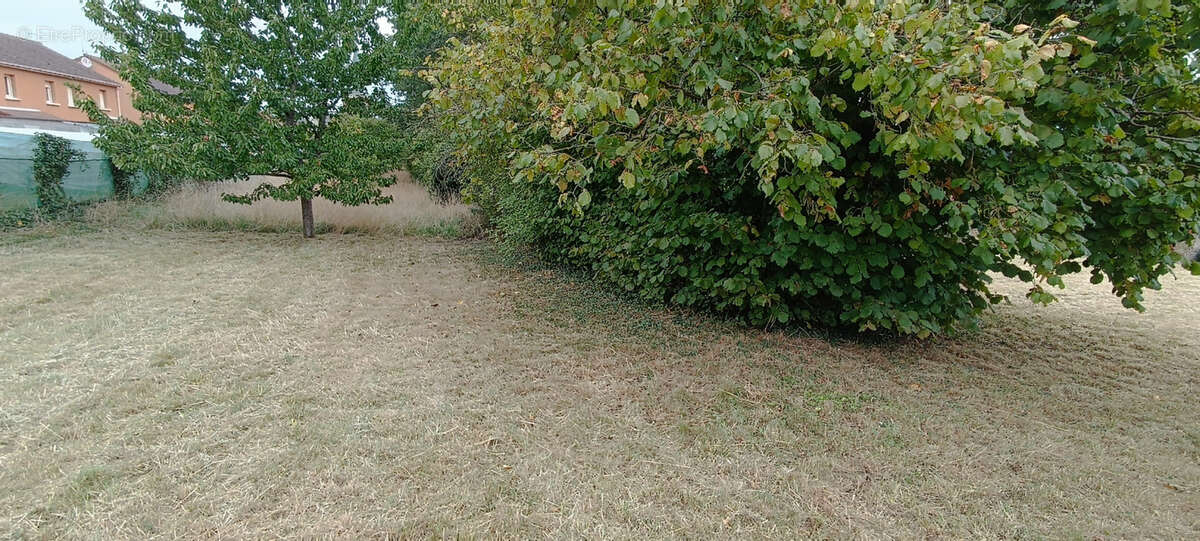 Terrain à DEMUIN