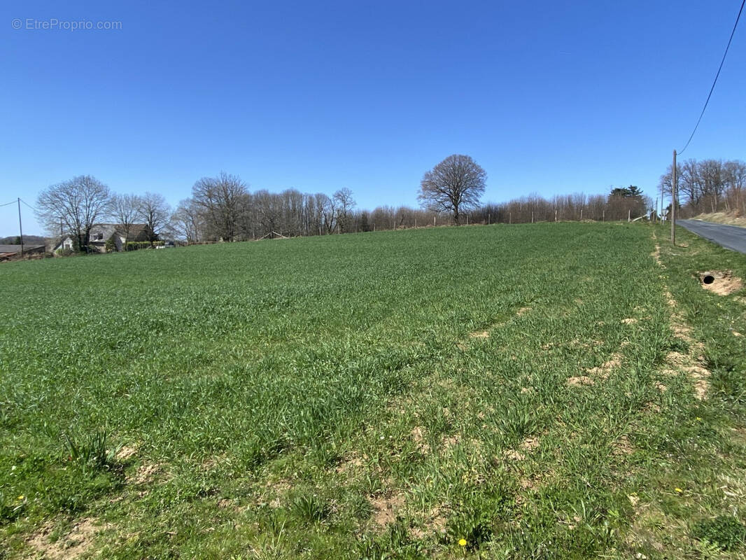 Parcelle a batir proche pompadour - photo 1