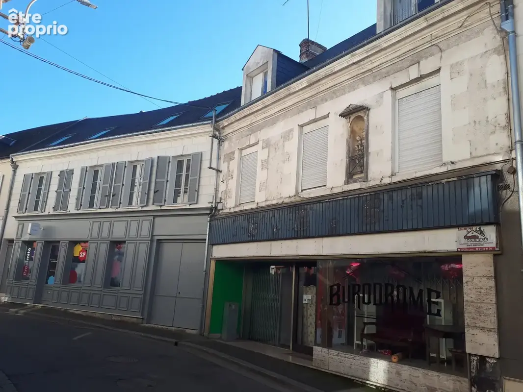 Maison 8 pièces 224 m² à vendre à Romorantin-Lanthenay (41200) - photo 2
