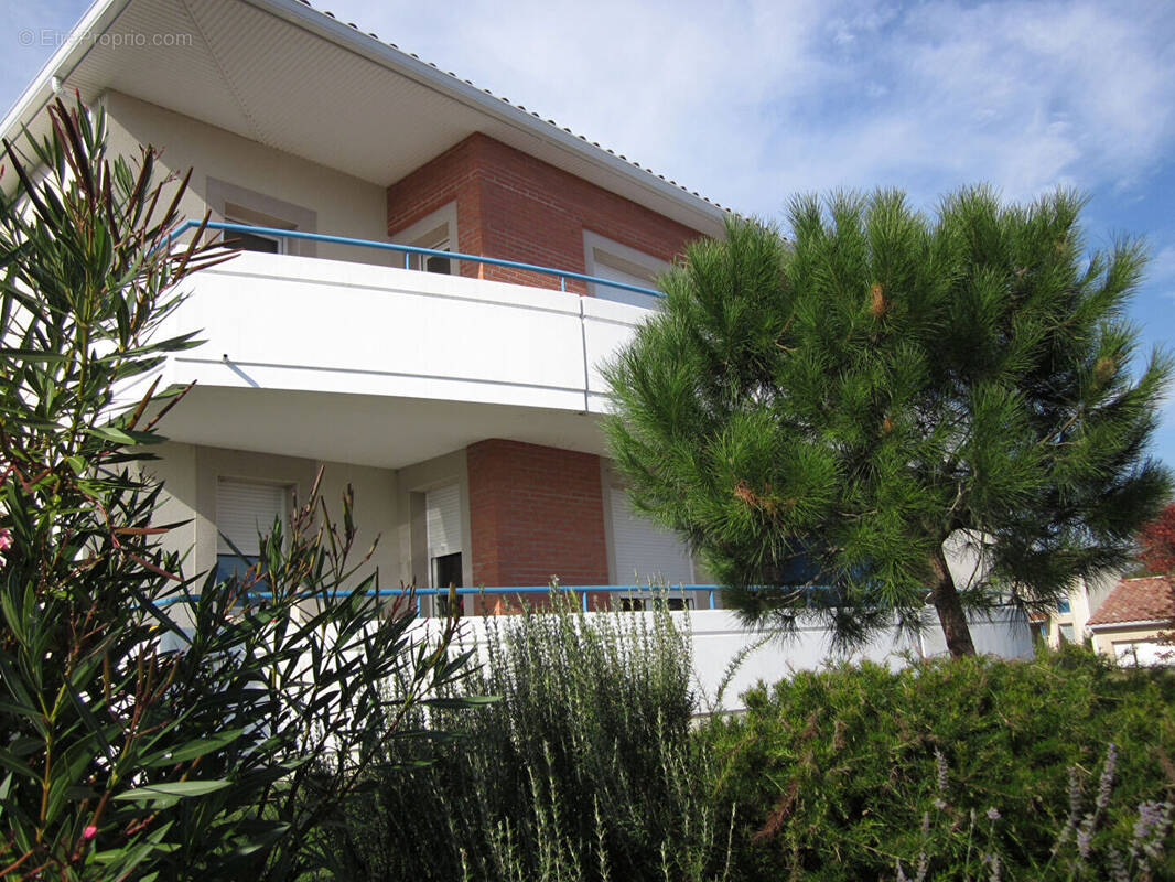 Appartement à SAINT-PAUL-SUR-SAVE