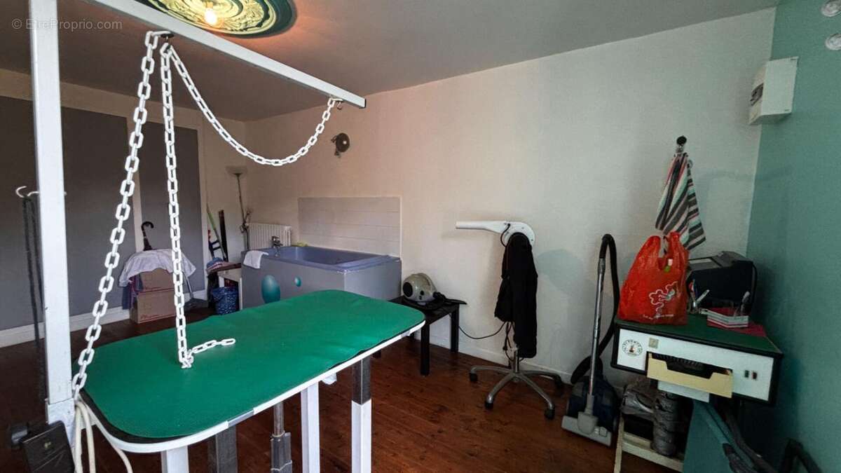Maison en pierre,  Uchizy, 152 m2 avec beau terrain arboré et dépendances - photo 18
