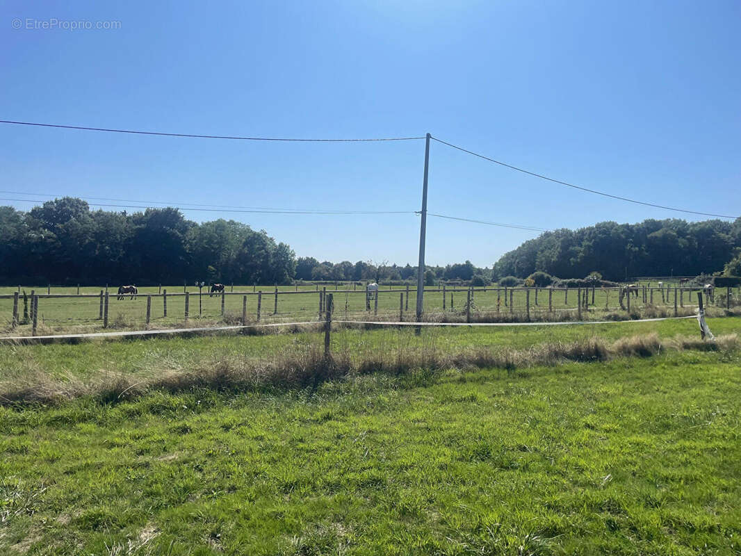 Terrain à SAINT-ANTOINE-DU-ROCHER