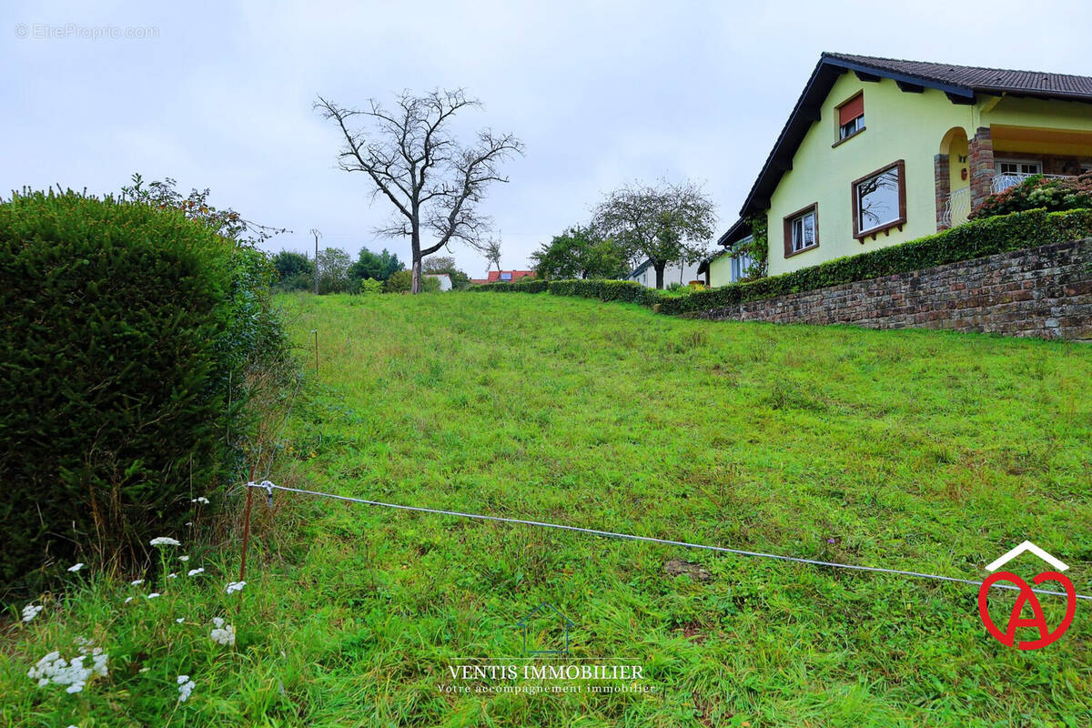 Terrain à DANNELBOURG