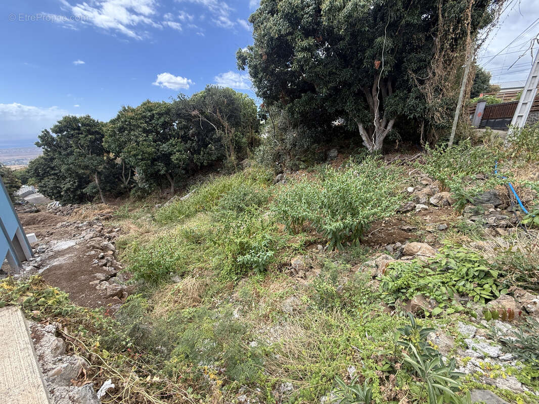 Terrain à SAINT-PAUL