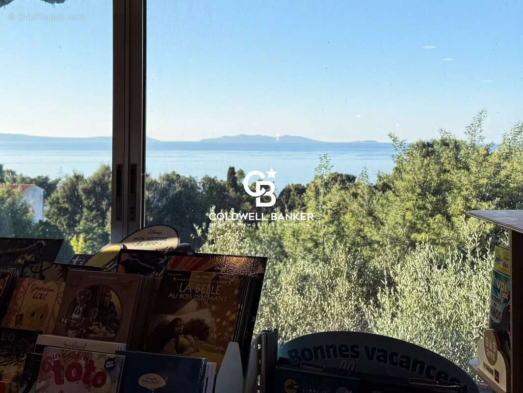 Commerce à RAYOL-CANADEL-SUR-MER