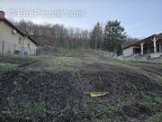 Terrain à BRASSAC-LES-MINES