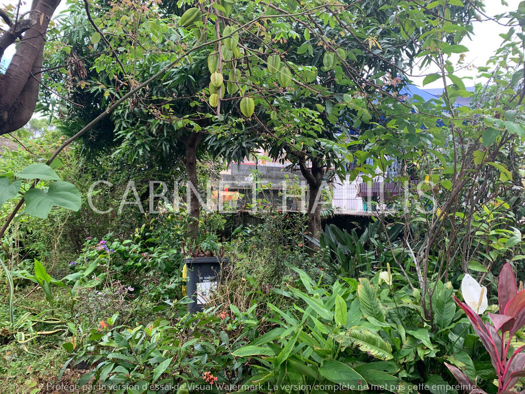 Maison à SAINT-JOSEPH