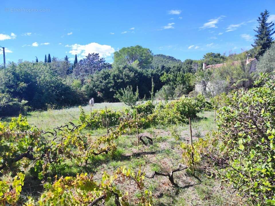 Terrain à PUGET-VILLE