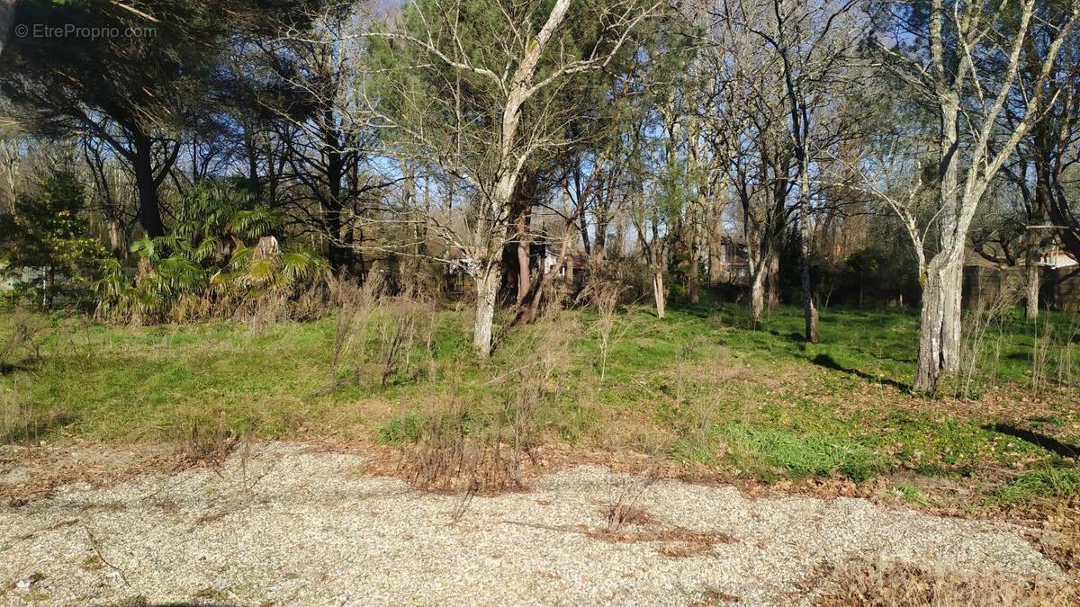 Terrain à NOAILLAN