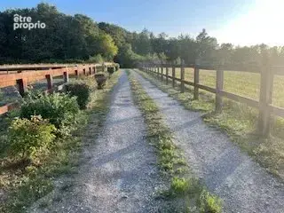 Maison de 3 chambres avec piscine, 6 hectares de terrain et installations équestres - photo 11
