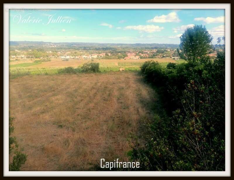 Maison à vendre 3 pièces PAULHAN (34) - photo 12