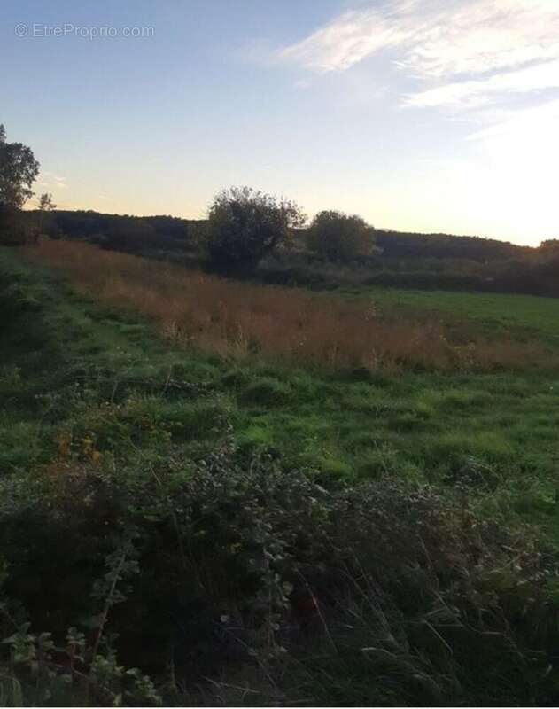 Photo 2 - Terrain à SABRAN