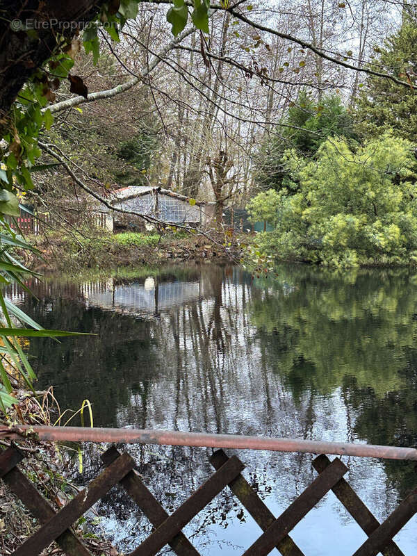Terrain à SAINTE-FOY