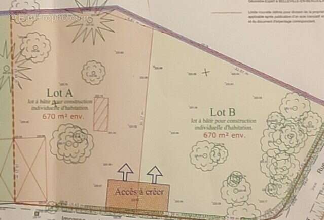 Terrain à MOGNENEINS