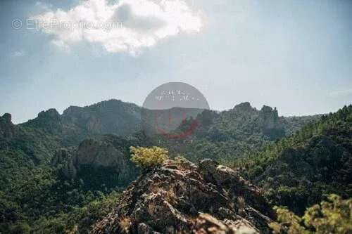 Maison à MANDELIEU-LA-NAPOULE