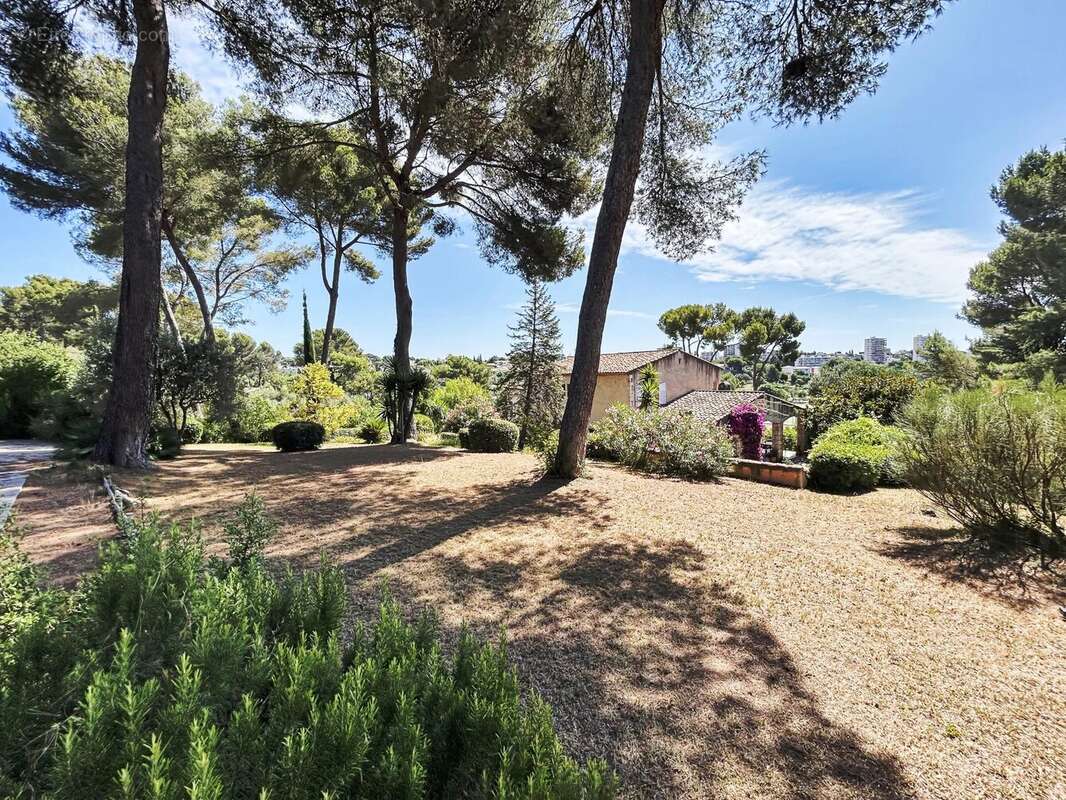 Propriété de caractère à Antibes – Quartier Eucalyptus - photo 30