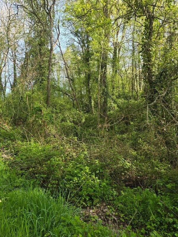 Terrain à LE CHAMP-SAINT-PERE