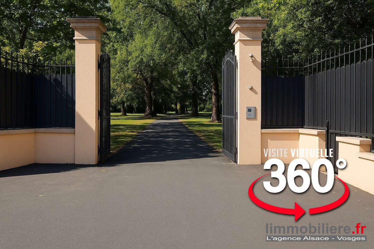 321 m² à Saint-Die-Des-Vosges  - photo 2