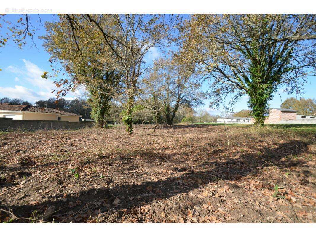 Terrain à PORCHERES
