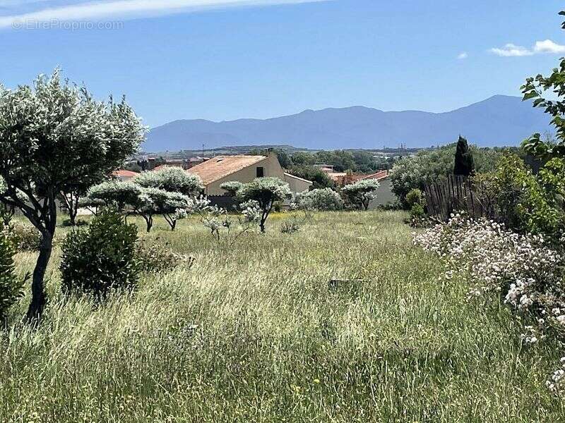 Terrain à SAINT-ESTEVE