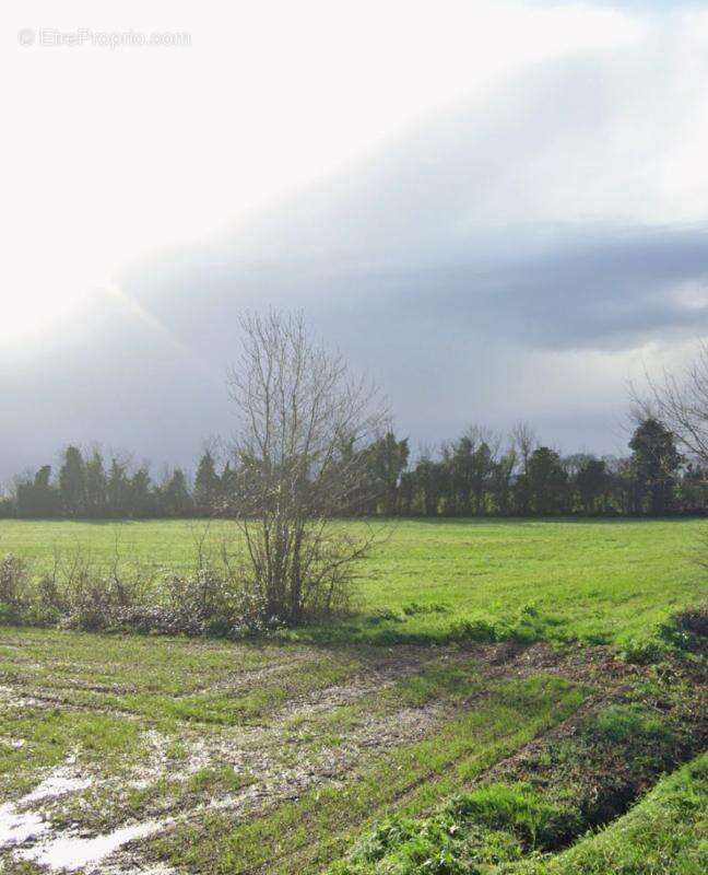 Terrain à AIGREFEUILLE-D&#039;AUNIS