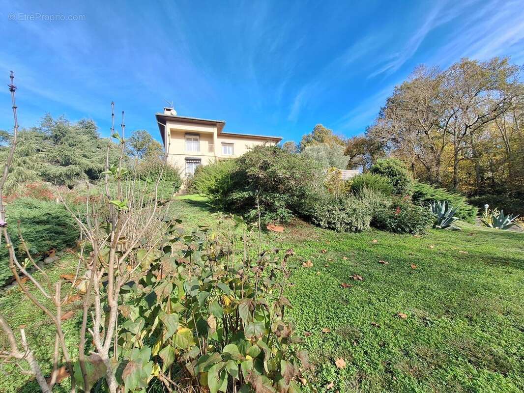 1000065429 - Maison à BOULOGNE-SUR-GESSE