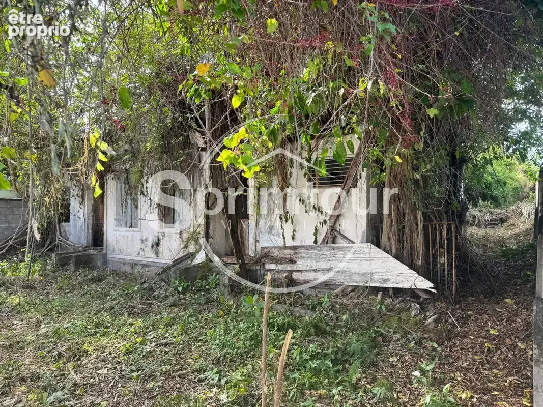 À vendre   Terrain constructible de 2999 m2 à Basse-Terre - photo 3