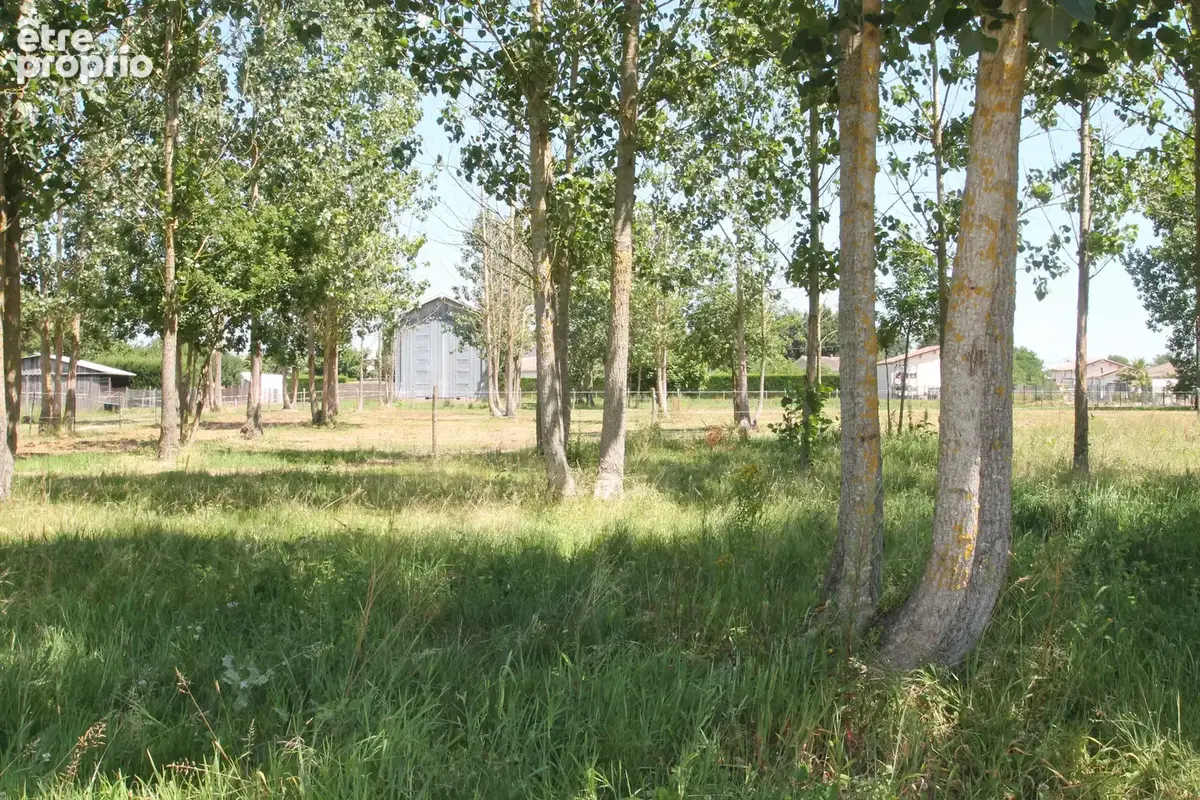 Ancien séchoir à tabac – 83 m² – Terrain de 5 428 m² – Potentiel de réhabilitation en habitation proche de CASTELJALOUX (47) - photo 5