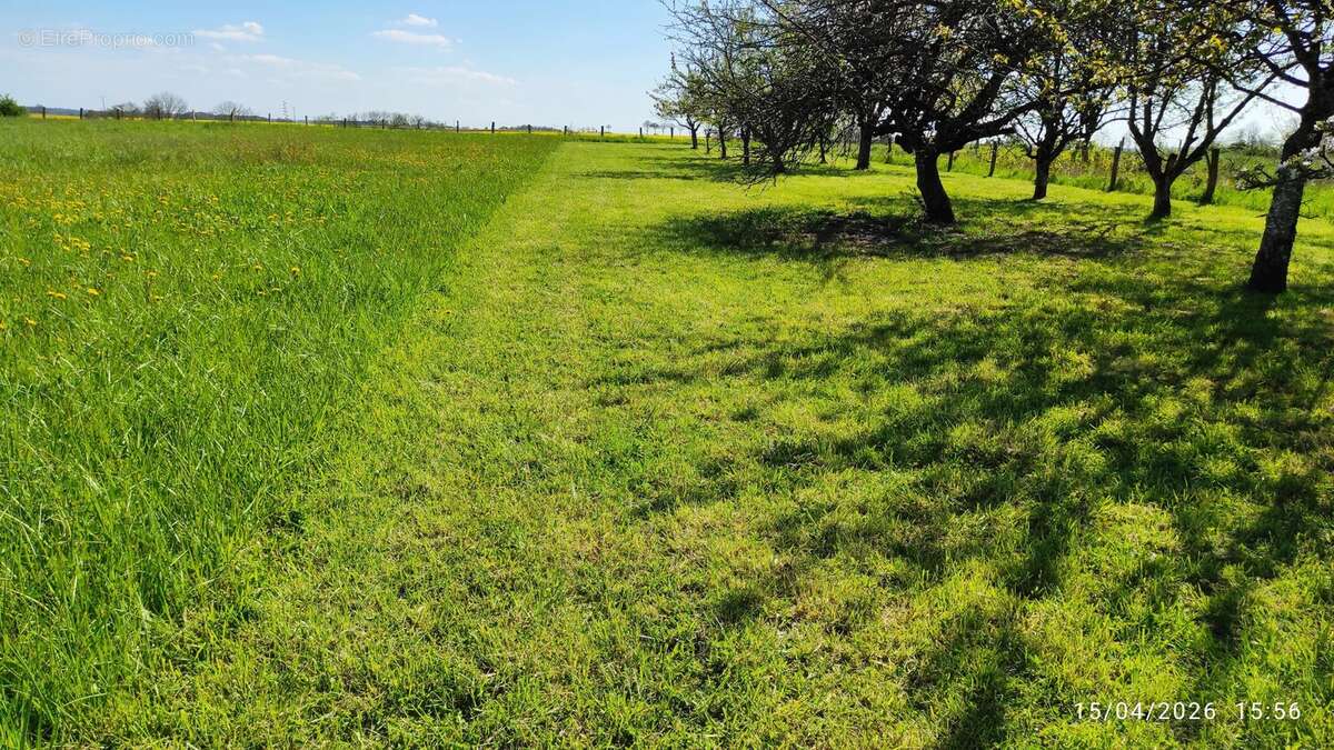 Terrain à SAINTE-MENEHOULD