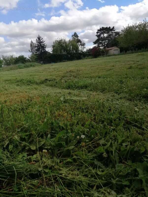 Terrain à MARSSAC-SUR-TARN