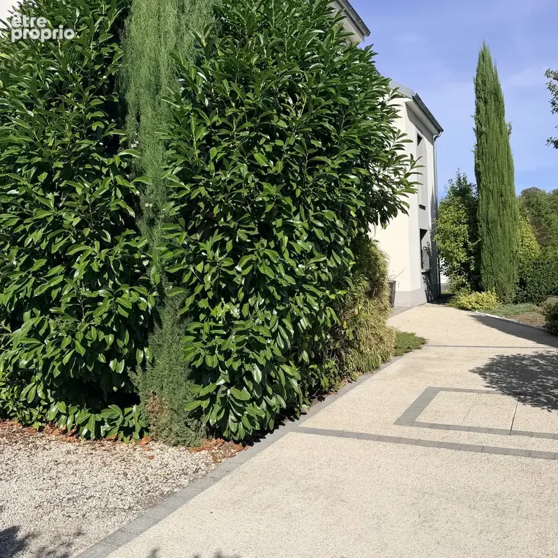 A vendre saint-julien-les-villas maison 254,67m2 5 suites parentales piscine jardin 987m2 - photo 9