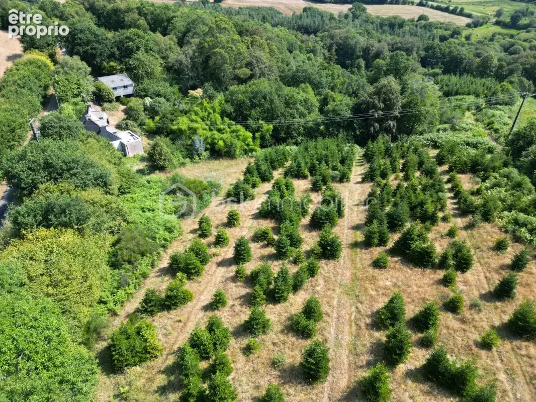 Propriété de 4 chambres isolée en pleine campagne - photo 4