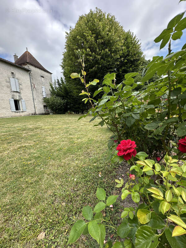 Propriété en pierres, deux maisons et terrain - photo 22