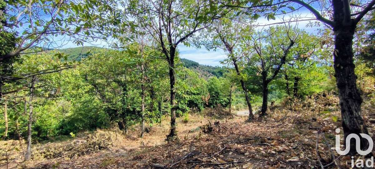 Photo 5 - Terrain à AULAS