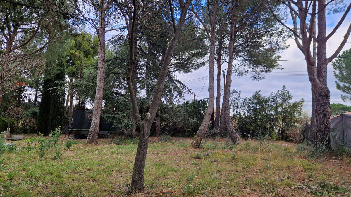 Terrain à SAINT-JEAN-DE-FOS