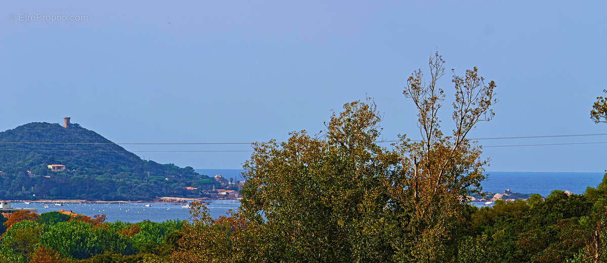 Appartement à PIETROSELLA