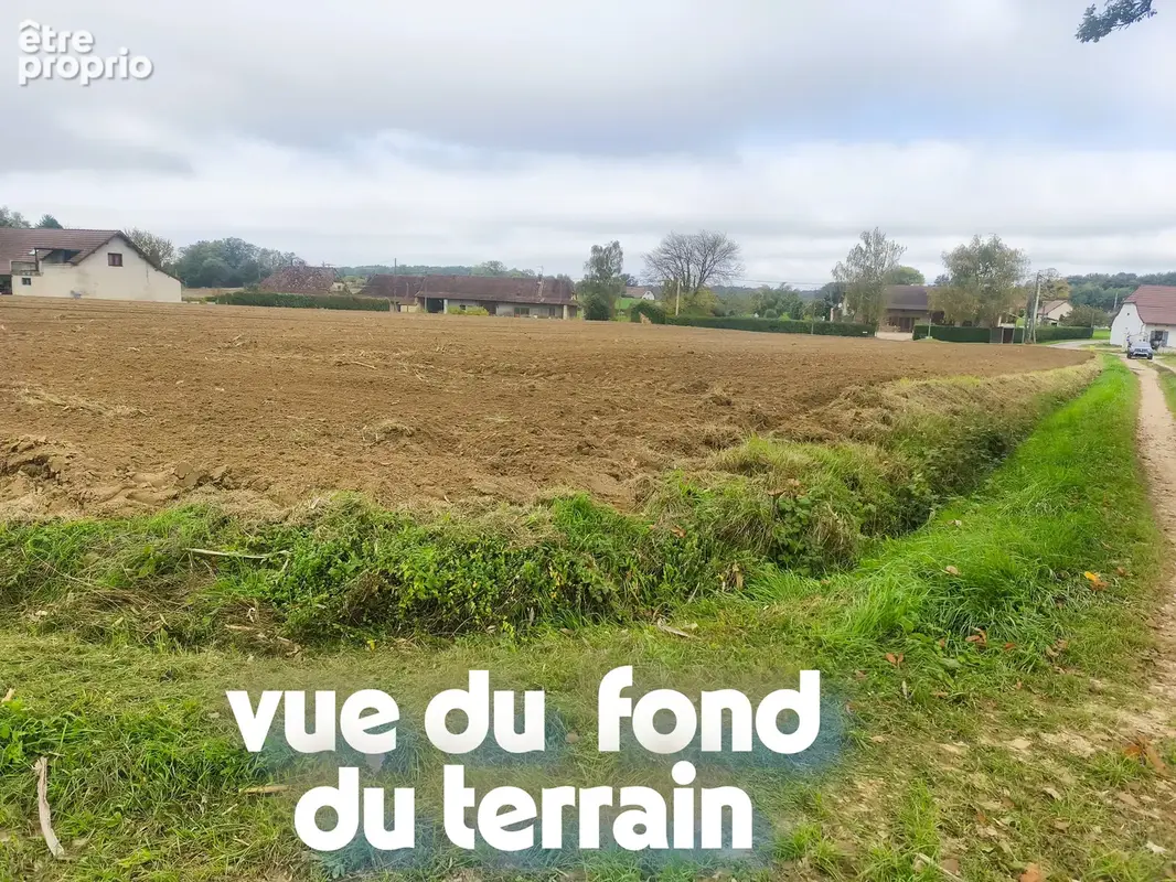Terrain 4 200 m² à vendre à Flacey-En-Bresse (71580) - photo 1