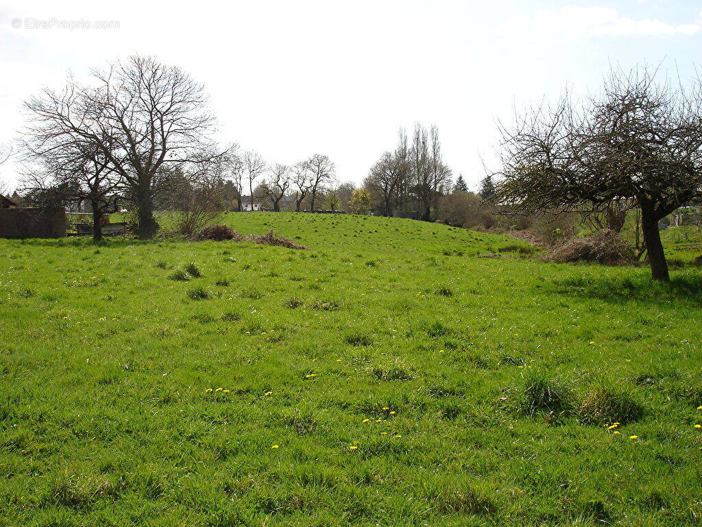 Terrain à LIMERZEL