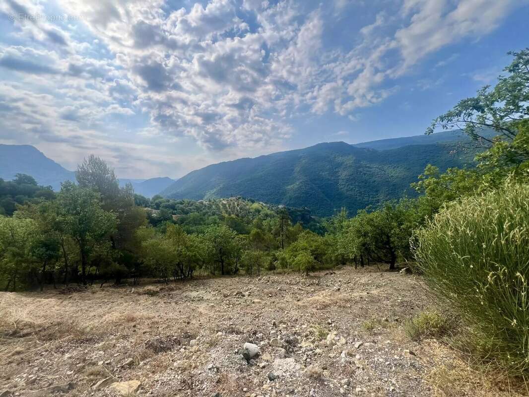 Terrain à PIERREFEU