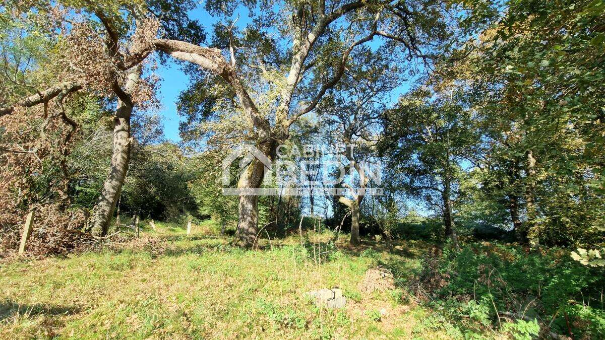 Maison 112 m² à Sort-En-Chalosse  - photo 8