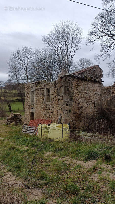 Terrain à USSON-EN-FOREZ