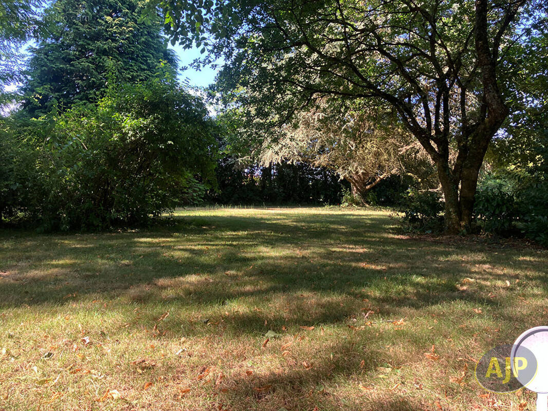 Terrain à MOLAC