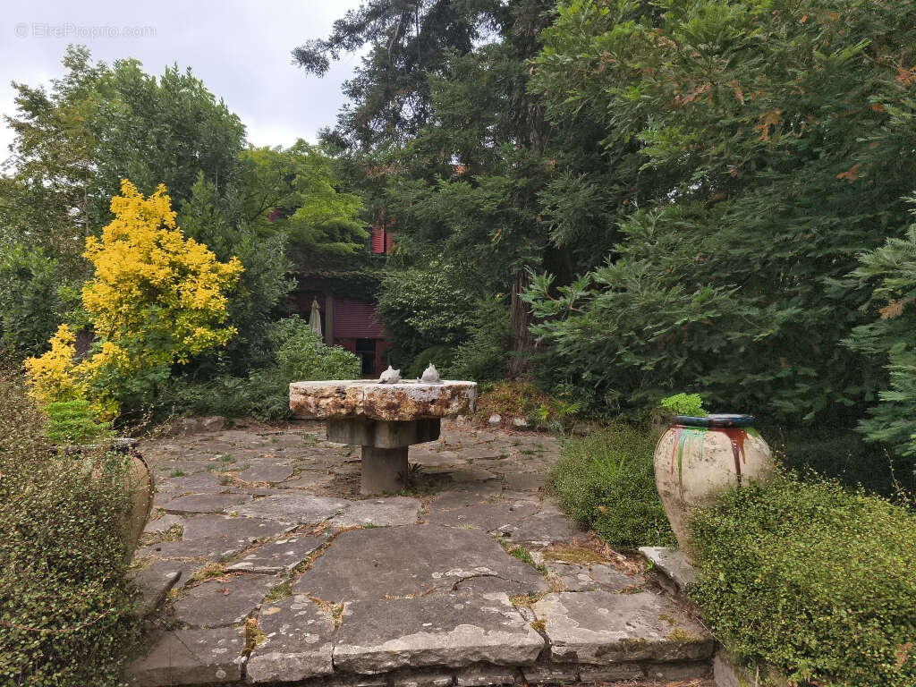 Maison MAÏTRE Salies De Bearn 21 pièce(s) 500 m2 - photo 4