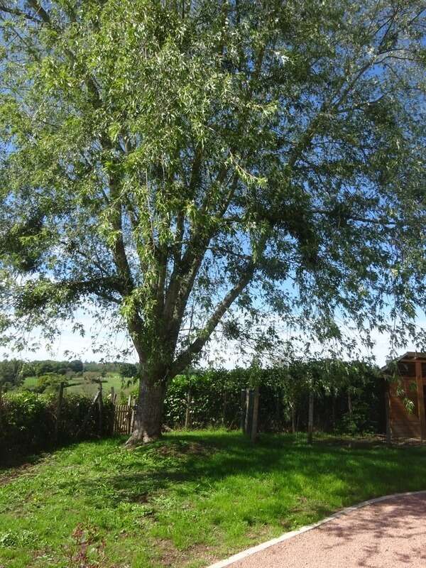 Maison à SAINT-AUBIN-EN-CHAROLLAIS