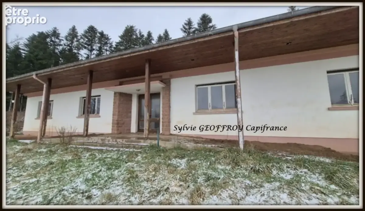 Propriete à vendre 10 pièces ETIVAL CLAIREFONTAINE (88) - photo 2