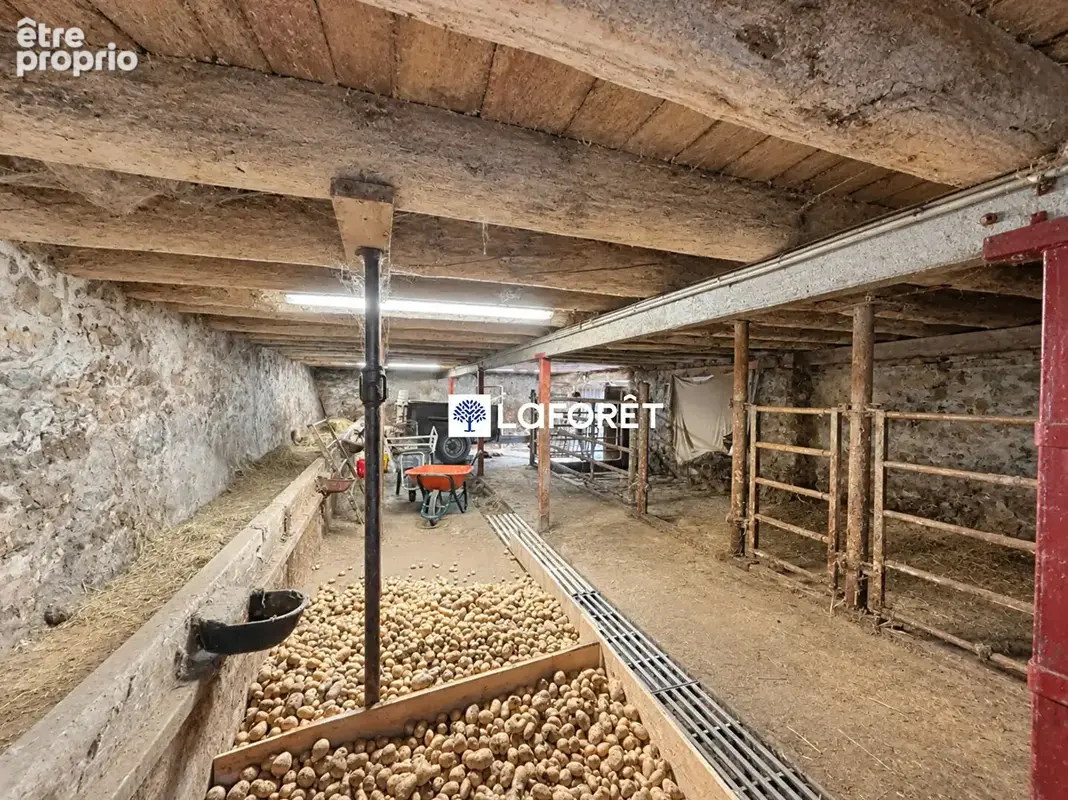 Maison Peyre En Aubrac 210 m2 - photo 6