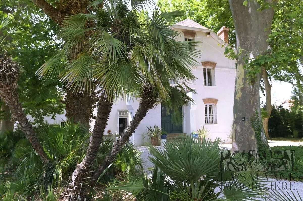 Maison de maître de 200 m2 avec dépendance de 110 m2 sur un parc arboré de 2 580 m2 - Rivesaltes - photo 2