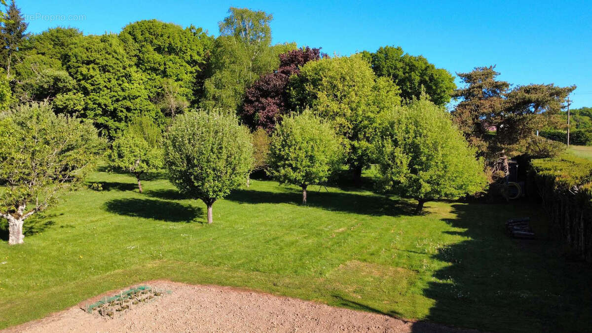 Belle propriété entouré de son parc boisé de 10700m2 - photo 34