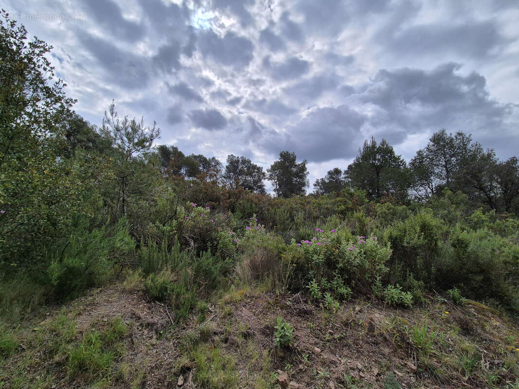 Terrain à LA CRAU