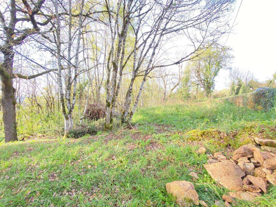 Terrain à PRUDHOMAT